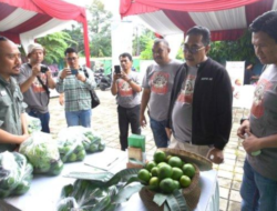 Ada Sayuran Murah, Emak-emak Serbu Booth Desa Kertawangi di Bazar Jurnalis Fest 2023